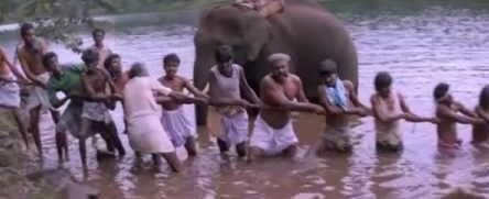 Aathukulla Ayira Meenu