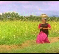Akka Magalukku Sadai (Female)