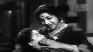 Amaidhi Purave