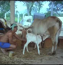 Azhagi Nee Perazhagi