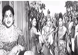 Bulbul Jodi
