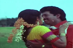 Chittukuruvi Rekkai Adichu
