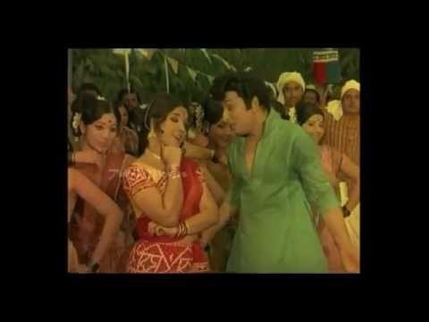 Maasi Maasa