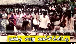 Nandu Chaaru Kachchikittu