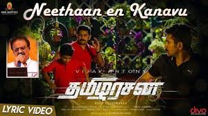 Neethaan En Kanavu