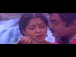 Pattu Paavaadai Katti