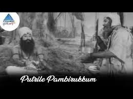 Putrile Paambirukkum