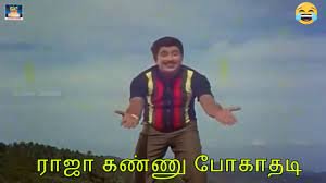 Raja Kannu Pogathadi