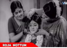 Roja Mottu