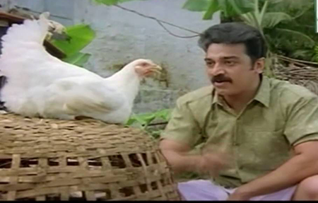Sonnapadi Kelu