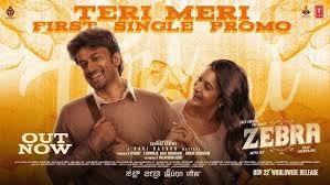 Teri Meri