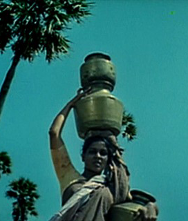 Thai Sollum
