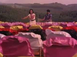 Vannathi Poochi