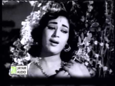 Velli Nila Vanathile